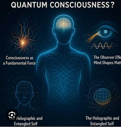 WhatsApp Image 2025-10-23 at 15.37.04