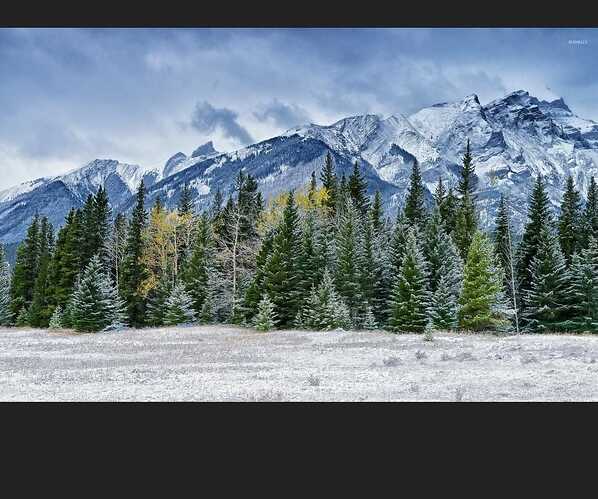 Mountain