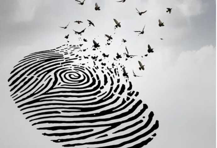 WhatsApp Image 2025-12-26 at 17.19.12