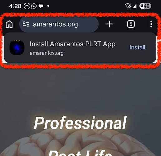 WhatsApp Image 2026-02-21 at 16.54.42